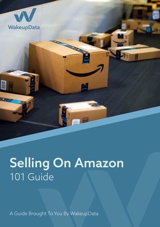 Amazon 101 - ebook cover