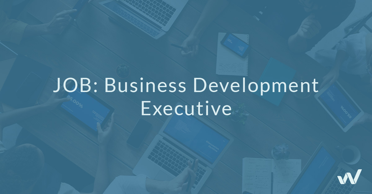 JOB: Business Development Executive