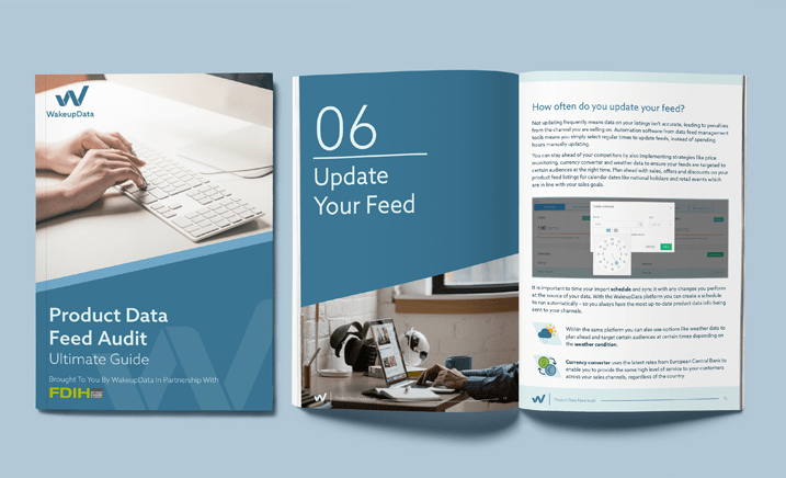 Product Feed Audit Guide (ebook)