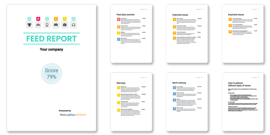 Example of feed audit report you can get from WakeupData